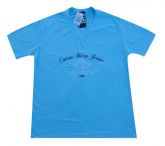 Camiseta Gola V Calvin Klein Azul Claro MOD 70231